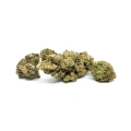 Super Silver Haze do palenia - susz konopny Sativa Poland