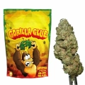 Susz CBG Gorilla Glue Cannabis Spot