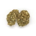 Topki suszu konopnego Amazing Haze