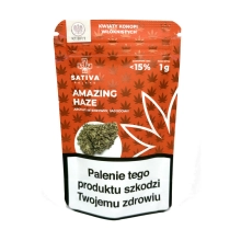 Amazing Haze susz konopny od Sativa Polang