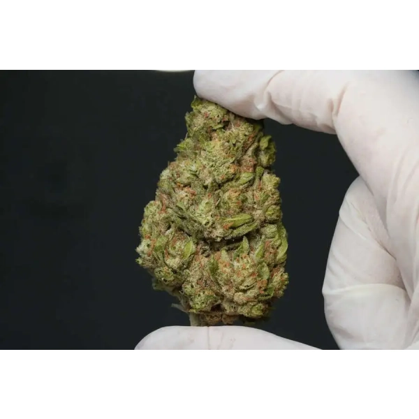 Susz CBG Gorilla Glue