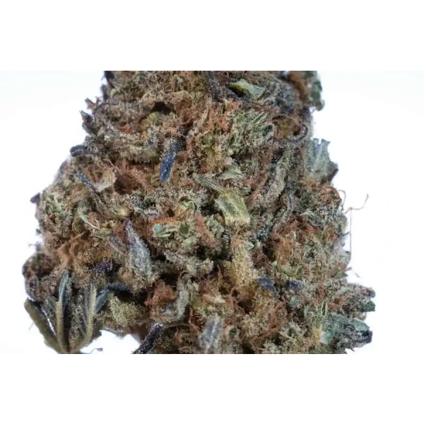 Susz Jack Herer Cannabis Spot