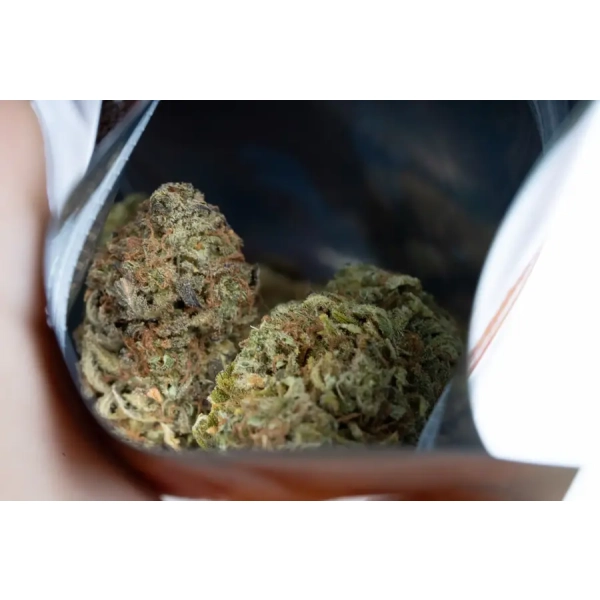 Jack Herer susz CBD - Cannabis Spot
