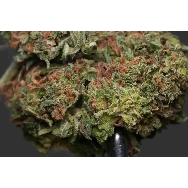 Premafrost Cannabis Spot