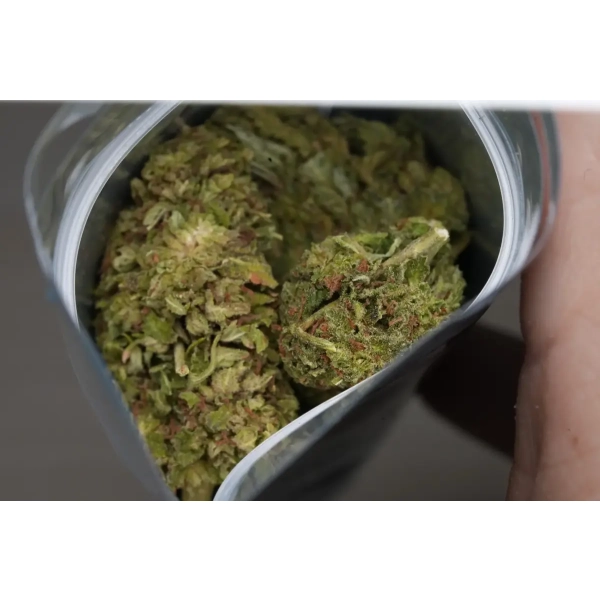 Premafrost susz CBD Cannabis Spot