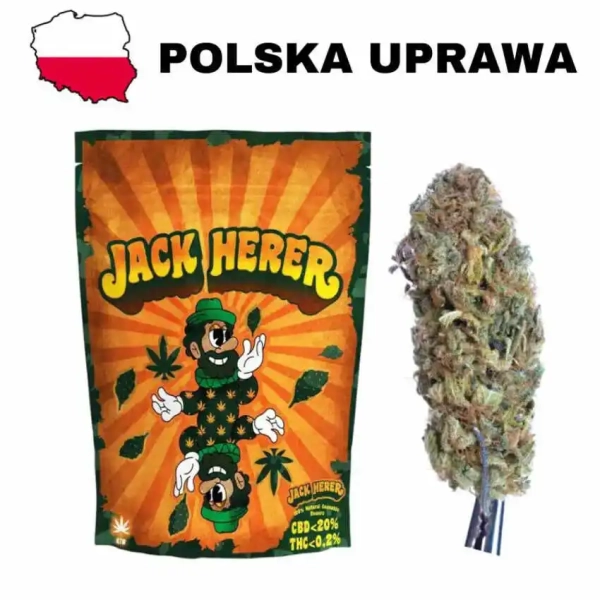 Susz konopny CBD Jack Herer