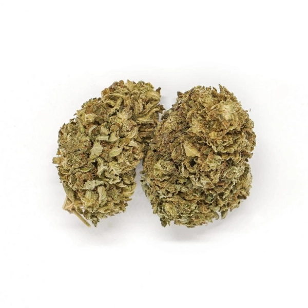 Topki suszu konopnego Amazing Haze