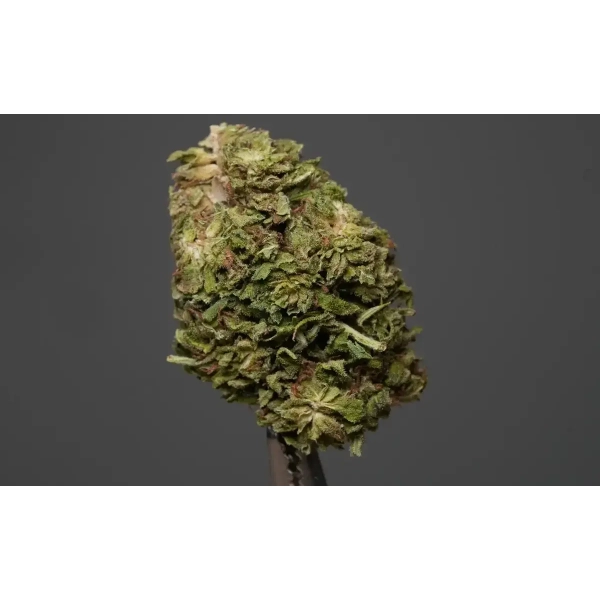 Tani susz Premafrost od Cannabis Spot